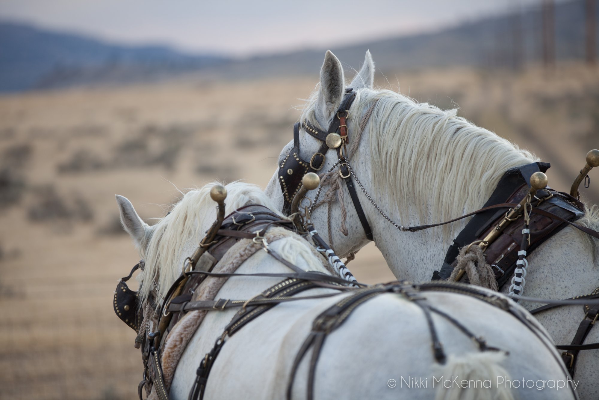 Casper Wyoming - Nikki McKenna Photography 